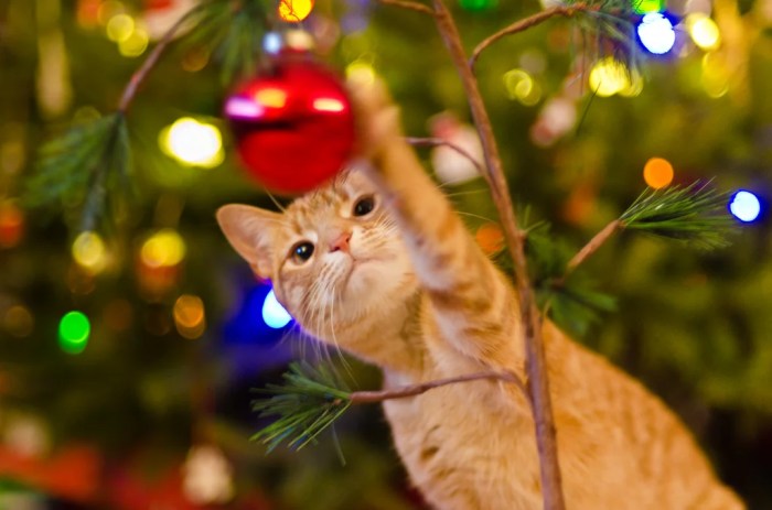 Ornaments tree kitten purrfect meow